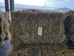 15 3rd Alfalfa Grass