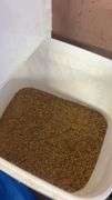 Half Bucket of Dumor Sr Combo Supplement - In Date