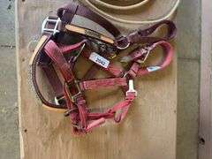 2 Horse Halters