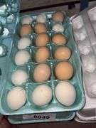 1.5 Doz Small Eating Eggs - Unwashed