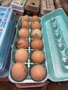 3 Doz Brown Eating Eggs