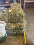5 Mini Bales 1st Cut Mixed Hay (2025)