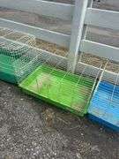 Green Bottom Rabbit Cage
