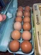4 Doz Large Eating Eggs - Unwashed