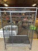 Large Bird/Ferret Cage