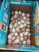 5 Doz Large/XL Mixed Eating Eggs