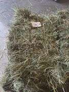 2 Bales 1st Cut Grass (2025)