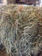 2 Bales 1st Orchard Grass (2025)
