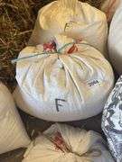 Bag of Feed - Corn, Oats, Molasses & Minerals - Approx. 25lbs
