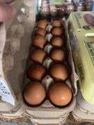 3 Doz Brown Pullet Eating Eggs