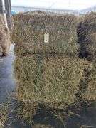 15 3rd Alfalfa Grass