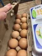 2 Doz Large Brown Eating Eggs