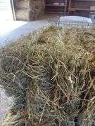 2 Bales 1st Orchard Grass (2025)