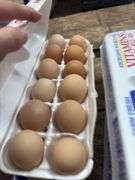 2 Doz Large Brown Eating Eggs