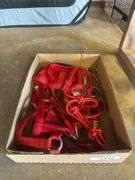 Mini Horse Tack - 3 Halters, Grazing Muzzle & Misc