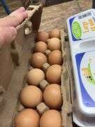 2 Doz Large Brown Eating Eggs