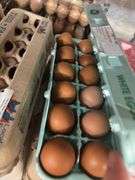 3 Doz Brown Pullet Eating Eggs
