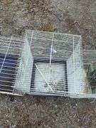 Medium Bird Cage