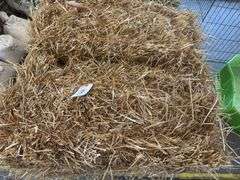 2 Bales Straw