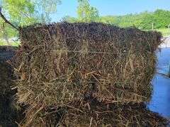 15 Rye Grass & Winter Wheat Straw