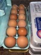 4 Doz Large Eating Eggs - Unwashed