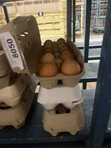 3 Doz Medium Brown Eating Eggs