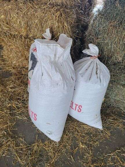 3 Bags Oats