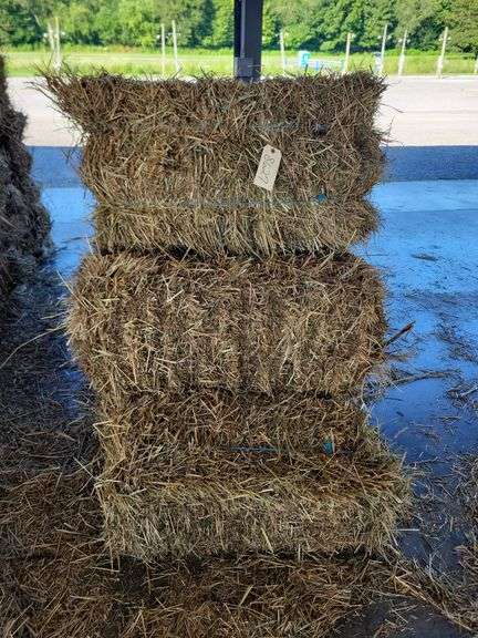 12 1st Grass