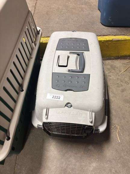 Small Pet Taxi