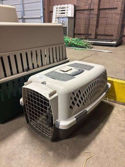 Small Pet Taxi