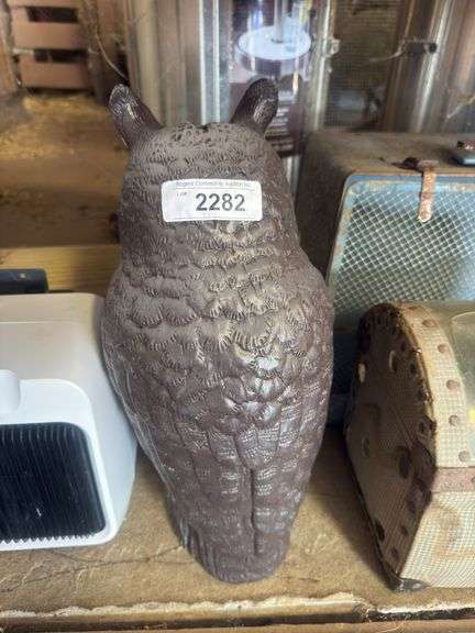 Barn Owl