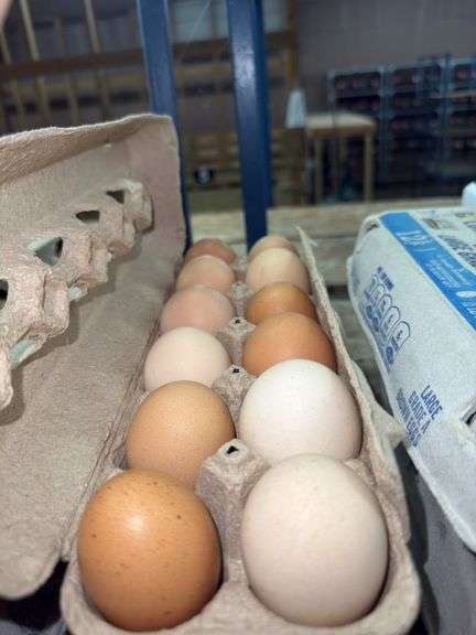 2 Doz Large Brown Eating Eggs