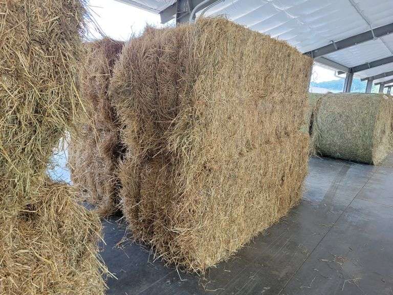 2 Large Squares 1st Grass (3x3)