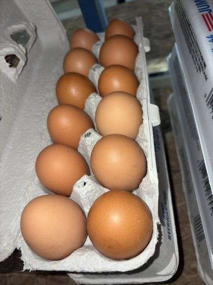 3 Doz Brown Mixed Eating Eggs