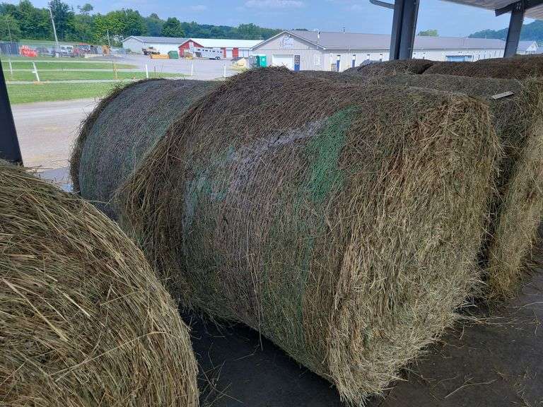 2 Round Bales Orchard Clover Alfalfa  Dry  (4x5) Net Wrapped  Stored Inside