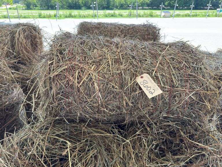 10 Mini Round Bales 1st Mix (20"x28")