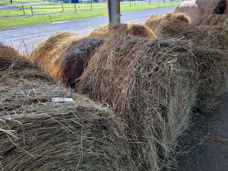 2 Round Bales 1st Mix Grass (4x4) Stored inside (2024)
