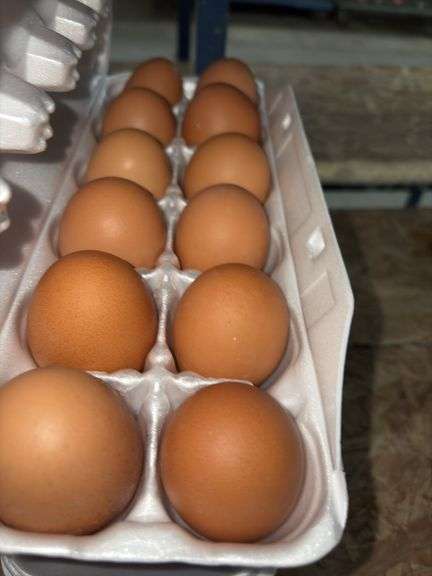 3 Doz Brown Mixed Eating Eggs
