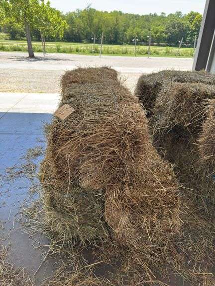 6 1st Grass