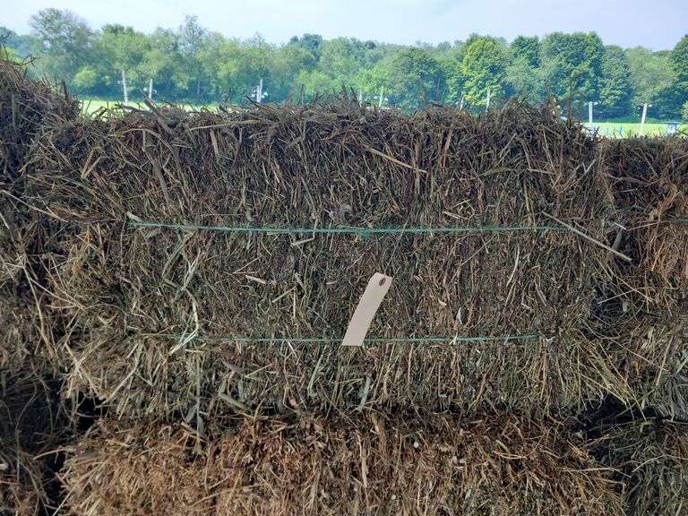 10 1st Alfalfa Orchard Timothy
