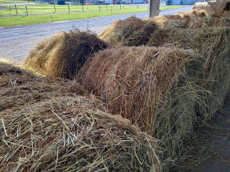 2 Round Bales 1st Mix Grass (4x4) Stored inside (2024)