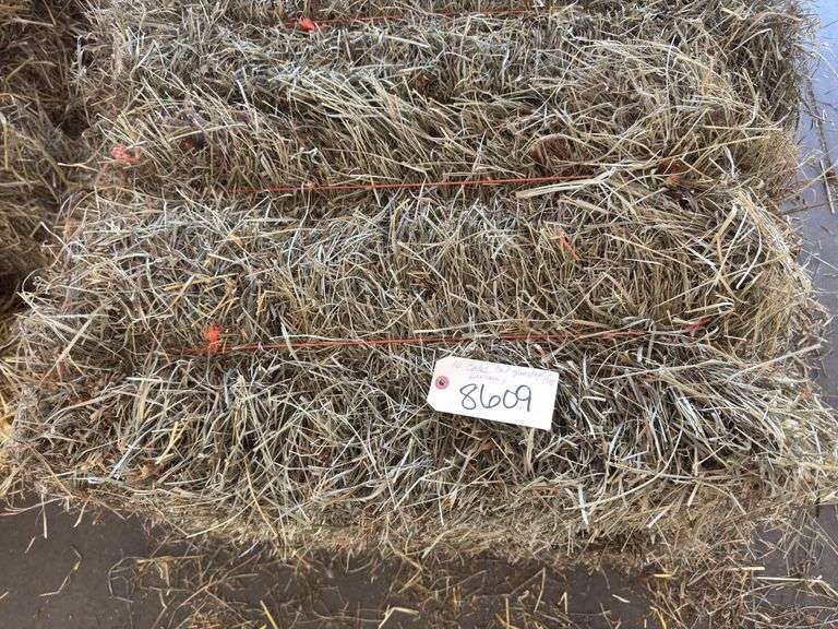 10 3rd Grass Alfalfa (No Rain)