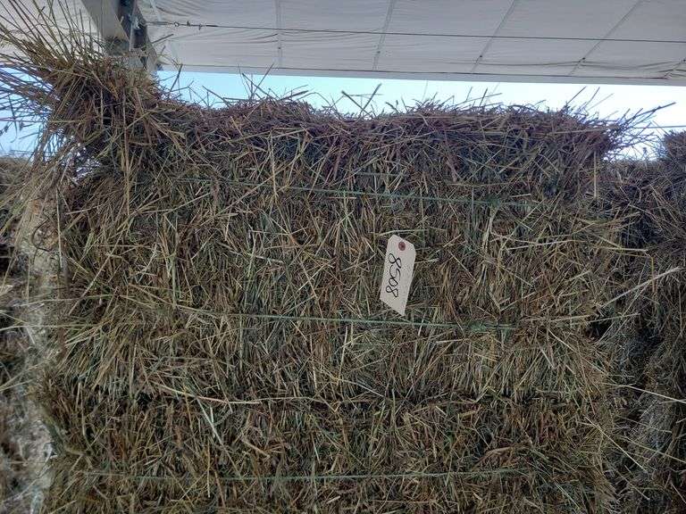20 1st Orchard Grass Timothy Mix