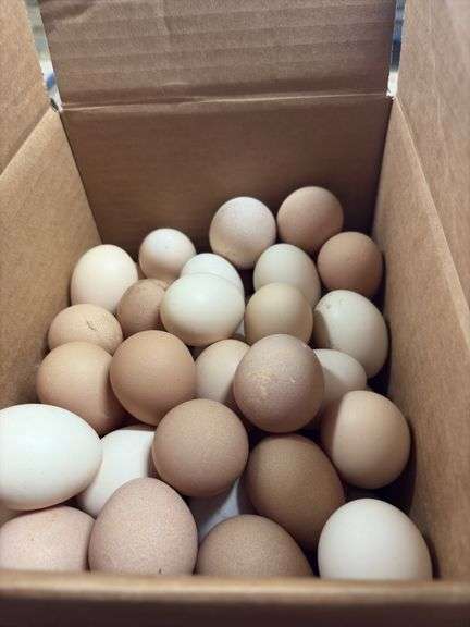 6 Doz Small Mixed Eating Eggs