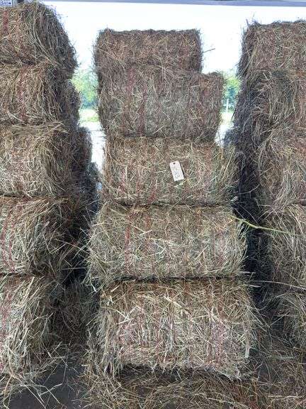 15 Mini Round Bales 1st Mix (28"x20")