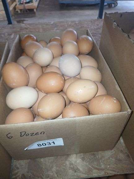 6 Doz Large Brown Eating Eggs