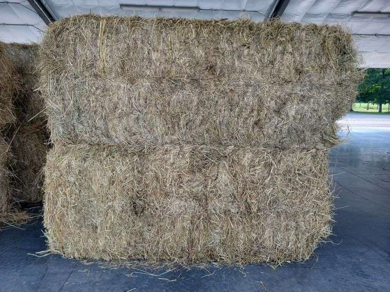 2 Large Squares 1st Grass (3x3)