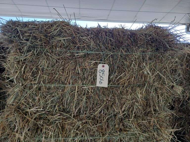 20 1st Orchard Grass Timothy Mix