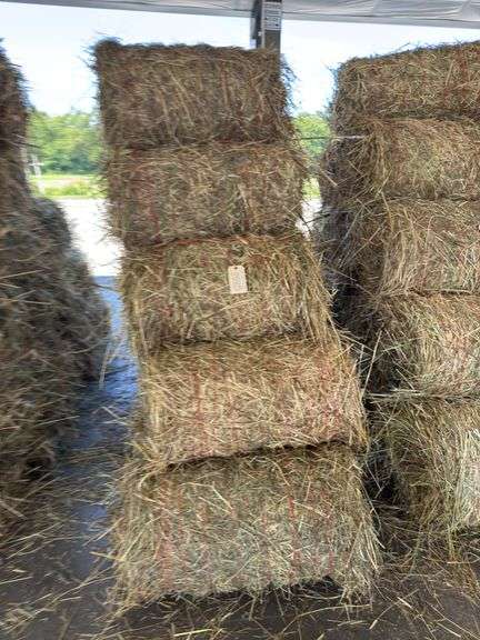 15 Mini Round Bales 1st Mix (28"x20")