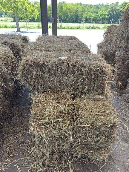 10 1st Grass